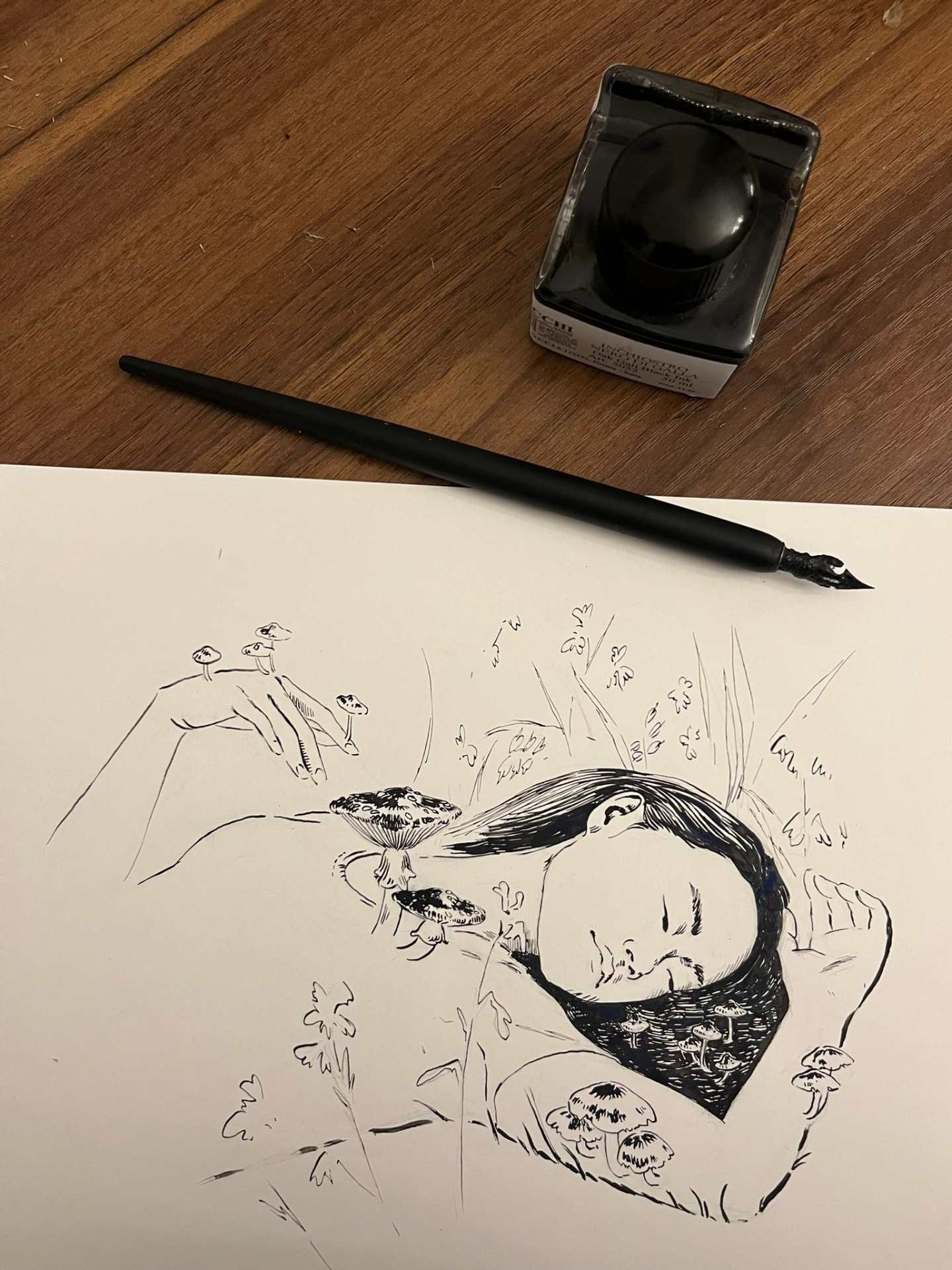 Sleeper Among the Mushrooms — Ink on paper, 40 × 50 cm